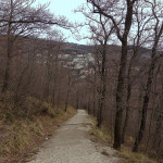 Parco di Villa Giulia