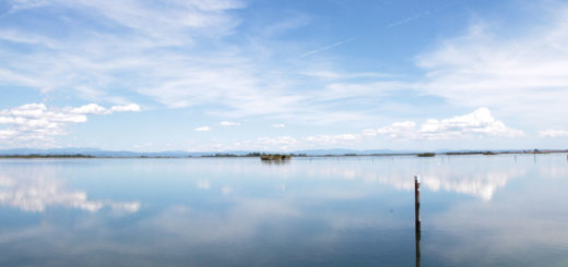 Arpa FVG mare laguna Trieste