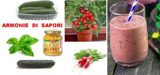 frullato di verdure multitasking Armonie di Sapori ricetta di Maria Luisa Runti