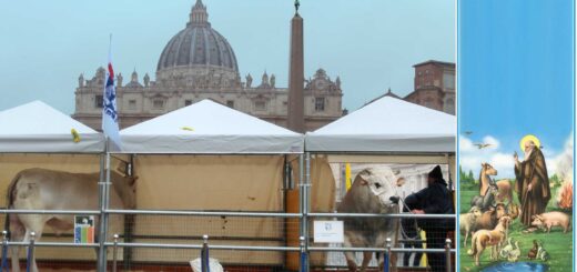 allevatori Roma Vaticano