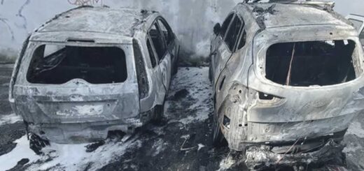 automobili incendiate a Trieste nel rione di Sant'Anna