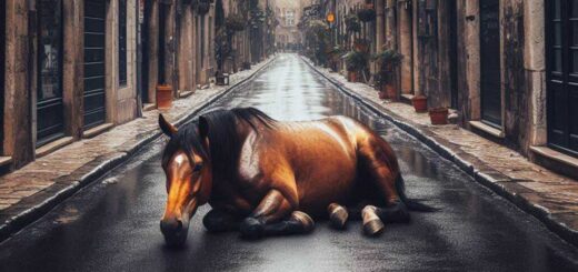 cavallo morto in via Pondares