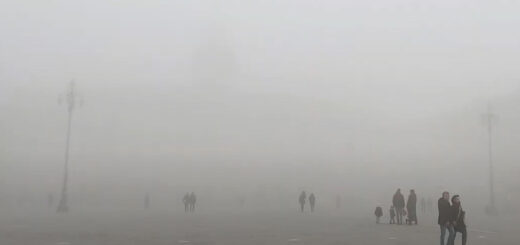 nebbia Trieste marzo